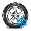 Winter Wheel